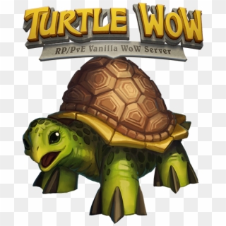 Turtle-wow - Turtle Wow Png Clipart