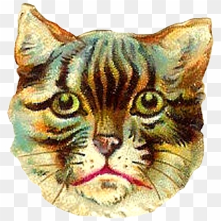 This Poor Kitty Looks Awfully Frightened I Wonder If - Cat Clipart