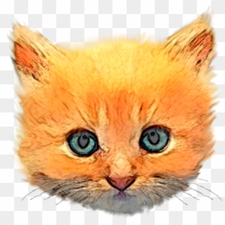 Kitten Head Png Clipart