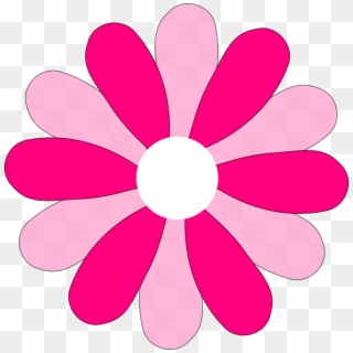 Download - Gerber Daisy Flower Clipart - Png Download