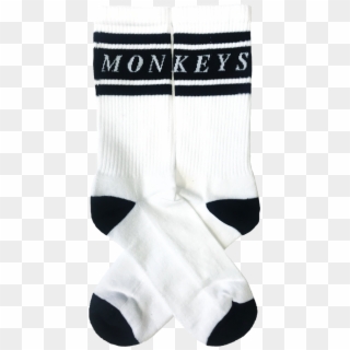 Monkeys White Sports Socks - Arctic Monkeys Socks Merch Clipart