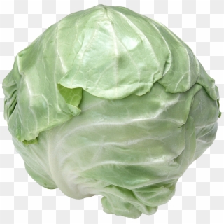 Cabbage - Cabbage Png Clipart