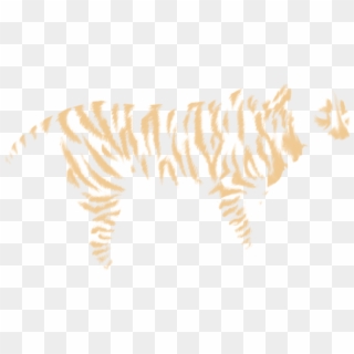 Zebra Clipart