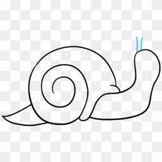 Snail Drawing Png - Drawing Clipart