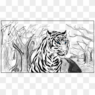 Drawn White Tiger Transparent - Draw A White Tiger Clipart