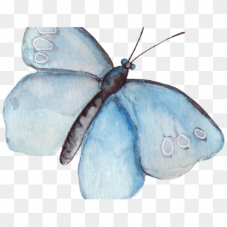 Transparent Clipart - Png Download