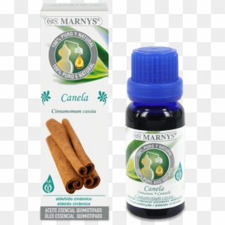 Cinnamon Essential Oil - Aceite Esencial Arbol De Te Marnys Clipart
