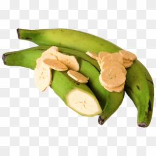 Green Bananas Puerto Rico , Png Download - Food Crops In Nigeria Clipart