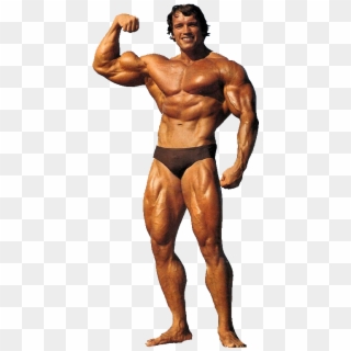 Arnold Schwarzenegger - Arnold Schwarzenegger Quads Clipart