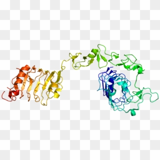 Protein Igf1r Pdb 1igr - Igf 1 Structure Clipart