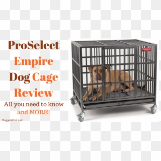 Heavy Duty Dog Crate - Pro Select Empire Dog Crate Clipart