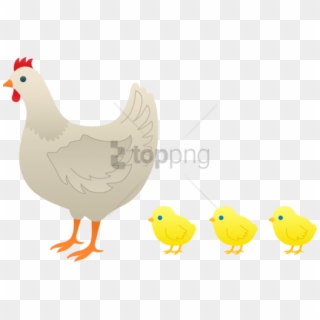 Free Png Baby Chicken Png Png Image With Transparent - Mother Hen And The Chicks Clipart