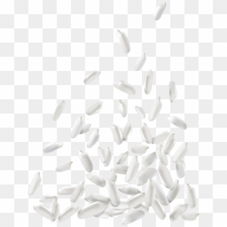 White Rice Png Download Image - Grain Of Rice Vector Clipart