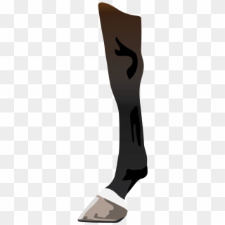 Leg Markings Are Described By How Far Up The Leg The - Horse Leg Png Clipart