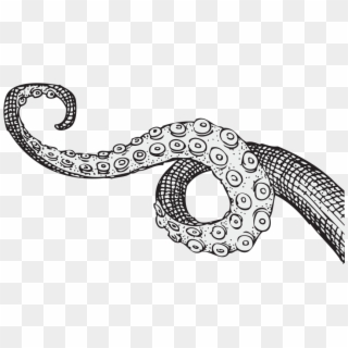 Tentacles Drawing , Png Download - Black And White Tentacles Drawing Clipart