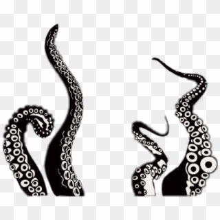 #scoctopus #octopus #blackandwhite #tentacles - Transparent Background Tentacles Png Clipart