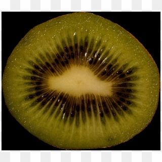 Kiwifruit Clipart