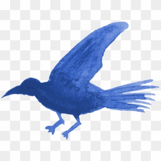 Free Download - Blue Jay Clipart