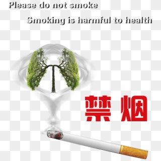 Smoking Cessation Smoking Harmful Health Protection - Ppt 戒菸 背景 Clipart