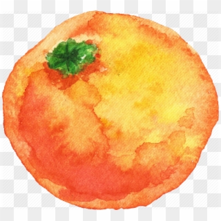 Cuisine, Food, Fruit, Fruits, Orange, Watercolor, Watercolors - Orange Fruit Watercolor Png Clipart