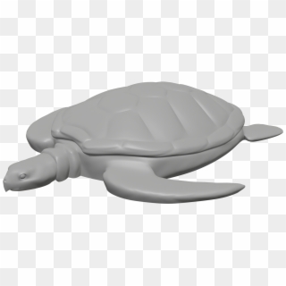 Sea Turtle - Kemp's Ridley Sea Turtle Clipart