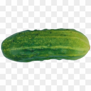 Cucumber Png - Огурец Png Clipart