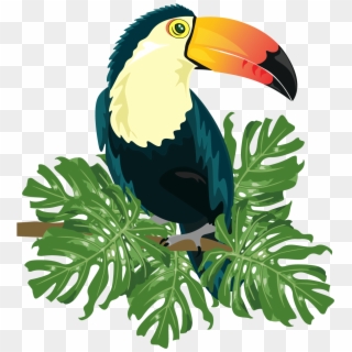 Ramphastinae Bird Ramphastos Illustration - Tropical Bird Vector Png Clipart