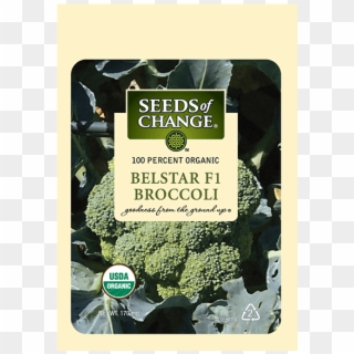 Organic Belstar F-1 Broccoli Seeds - Seeds Of Change Clipart