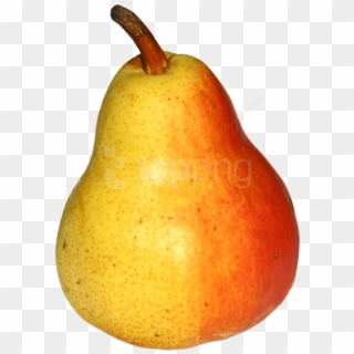 Free Png Pear Png - Asian Pear Clipart