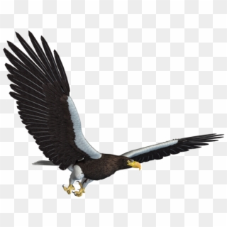 Eagle Png - Flying Eagle Jpg Clipart