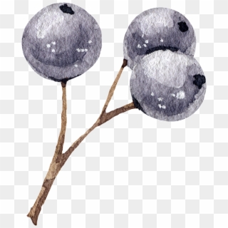 Blueberry , Png Download Clipart