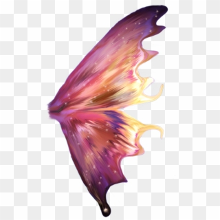 Photo Wing16 - Fairy Wings Transparent Png Clipart