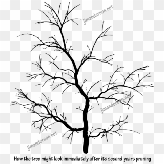 Drawn Dead Tree Aesthetic Tree - Pond Pine Clipart