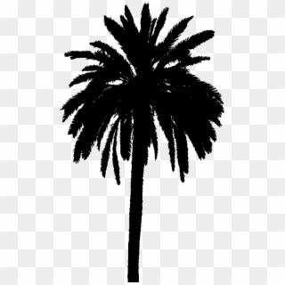 Input Detailed Palm Tree Silhouette Clipart