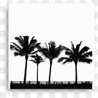 Palm Tree Silhouette Canvas - T-shirt Clipart