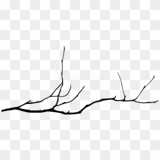Free Png Simple Tree Branch Png - Bare Tree Branch Png Clipart