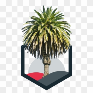 Palm Clipart