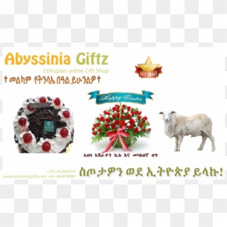 More Views - Abyssinia Giftz Clipart