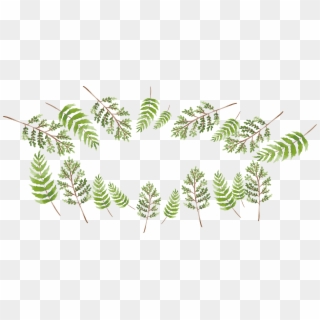 Branch Green Painting - Fern Clipart