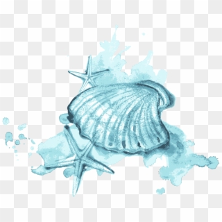Painting Illustration Blue - Watercolor Painting On Shells Galaxy Clipart