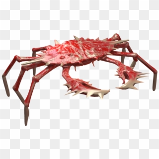 Crab Png Images With Backgrounds Free - Red Crab No Background Clipart