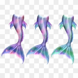 Mermaid Tail Drawing Png Clipart
