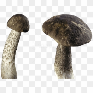 Free Png Download Dark Mushroom Png Images Background - Mushroom Transparent Background Clipart