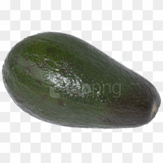 Download Avocado Png Images Background - Zucchini Clipart