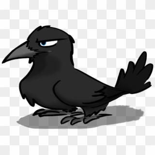 Crow Birb Clipart