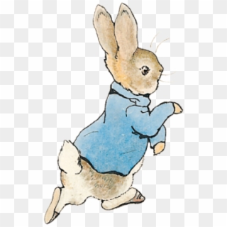 Peter Rabbit Png - Pierre Lapin Beatrix Potter Clipart