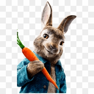 Peter Rabbit - Peter Rabbit Movie Background Clipart