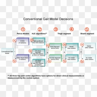 Conventional Gait Model Decisions1 - Kad Model Clipart