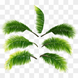 Download Palm Leaves Clipart Png Photo - Quadros Decorativos Com Plantas Transparent Png