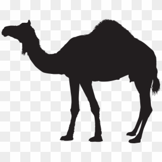 Camel Silhouette Transparent Png Clip Art
